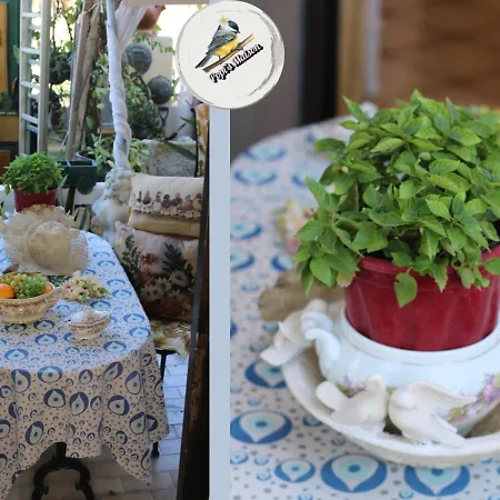 Popis Maison 아파트 Rhodes City