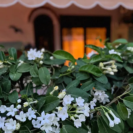 아파트 Popis Maison Rhodes City