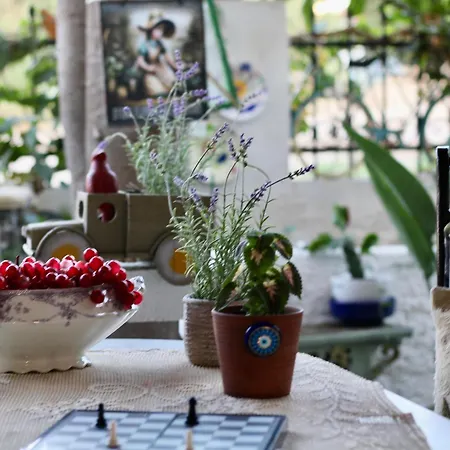 Apartamento Popis Maison