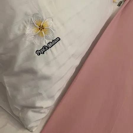 Popis Maison アパート *