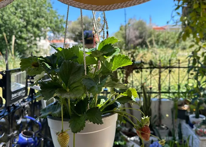 Popis Maison * Rhodes City