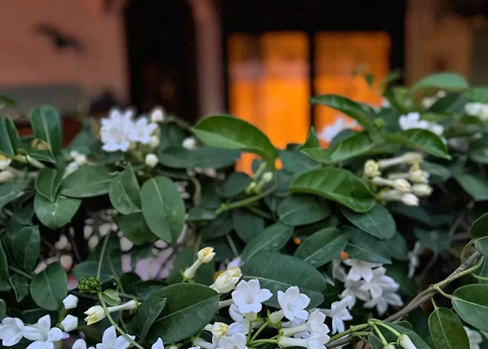 Apartament Popis Maison Rhodes City